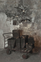 Cecily Gull Pendant Lighting