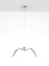 Cecily Gull Pendant Lighting