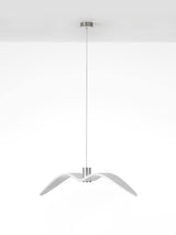 Cecily Gull Pendant Lighting