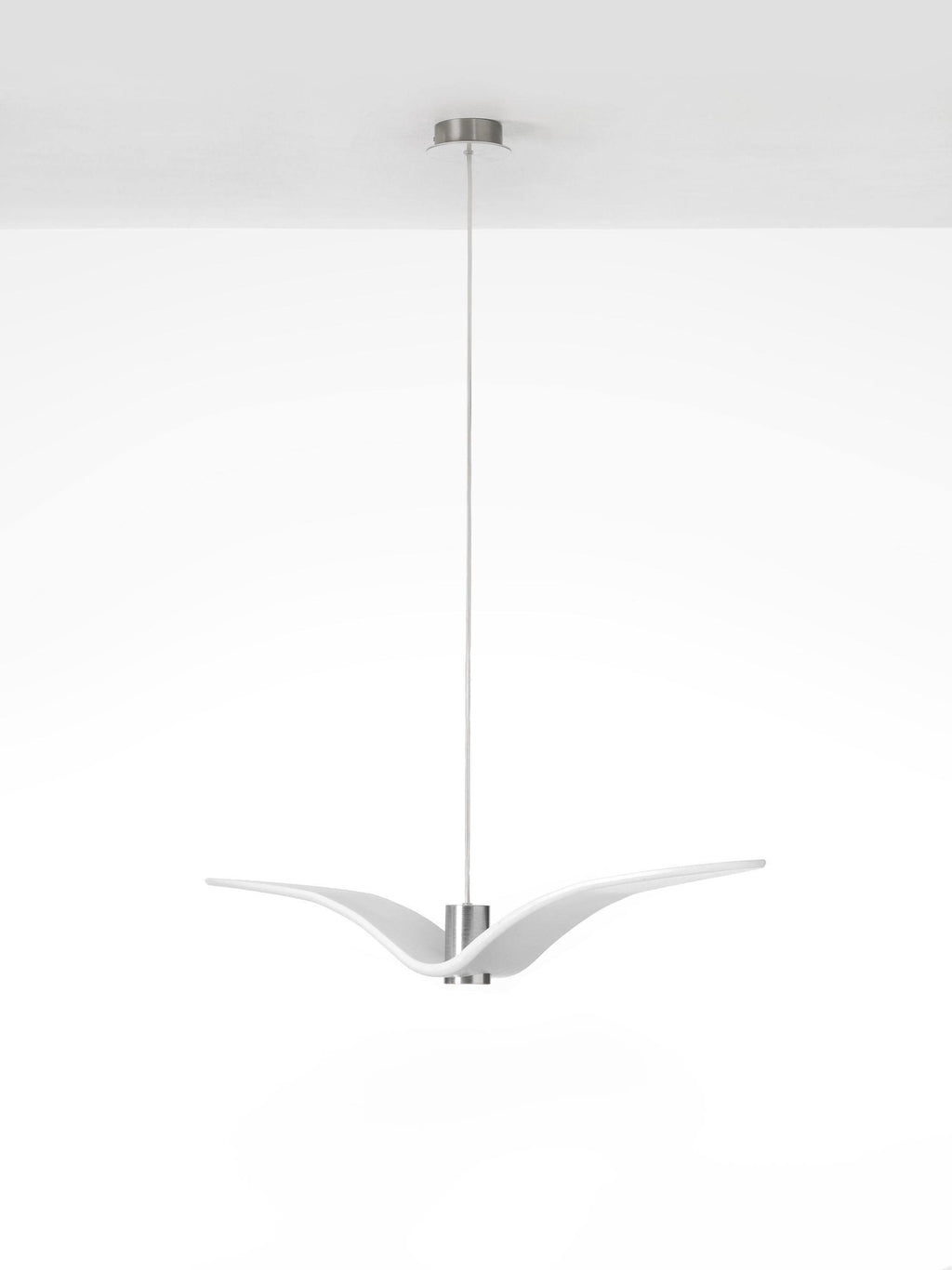 Cecily Gull Pendant Lighting