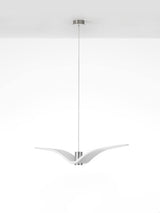 Cecily Gull Pendant Lighting