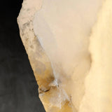 Hosse Wall Sconce