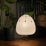 Akari 1A Collection Table Lamp