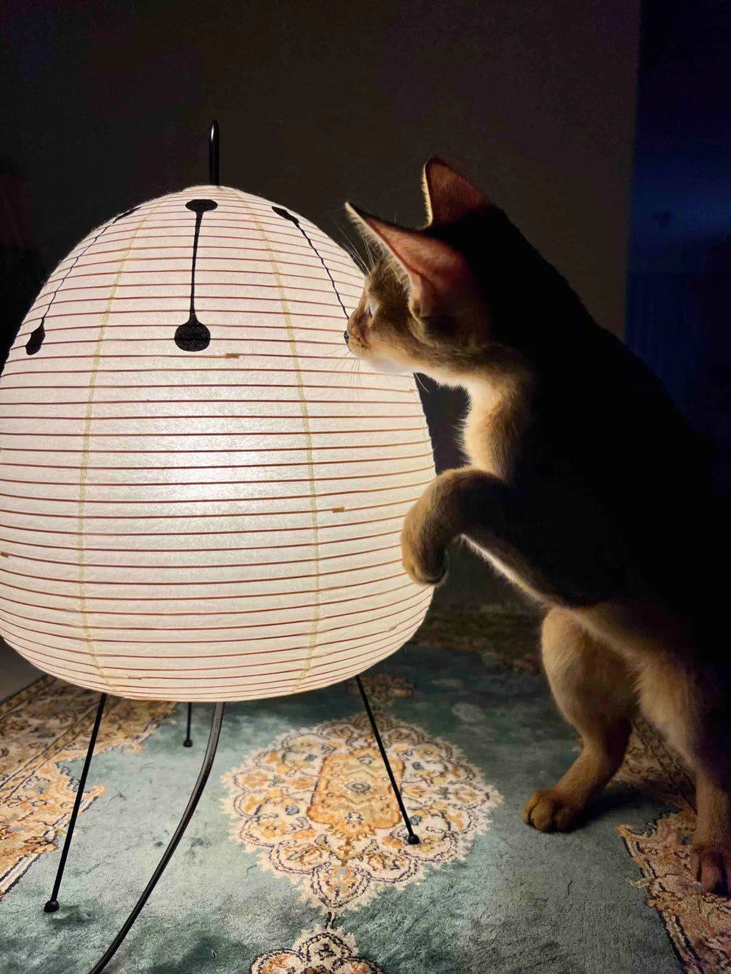 Akari 1A Collection Table Lamp