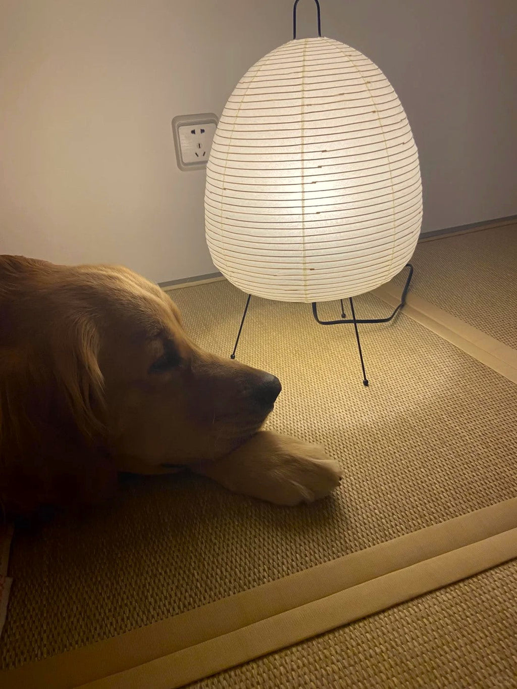 Akari 1A Table Lamp