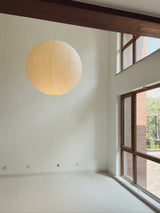 Akari A Pendant Collection Plug-In