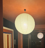 Akari A Pendant Collection Plug-In