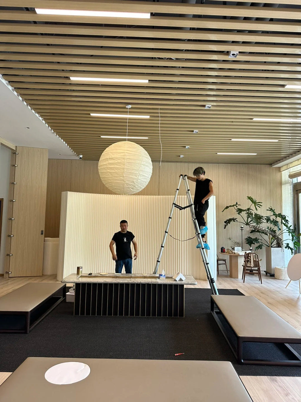 Akari D Plug-in Pendant Lighting