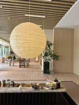 Akari D Pendant Lighting