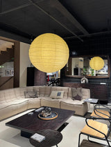 Akari D Pendant Lighting