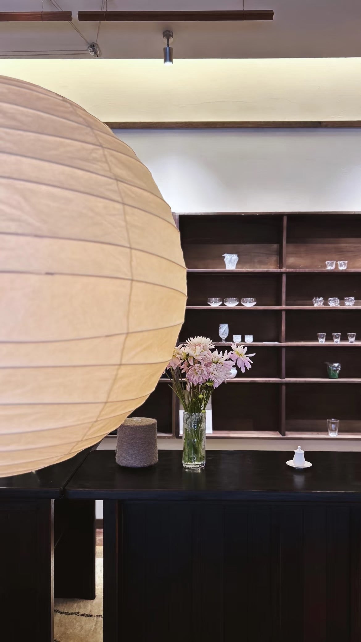 Akari D Plug-in Pendant Lighting