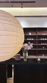 Akari D Pendant Lighting