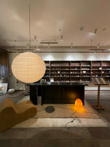 Akari D Pendant Lighting