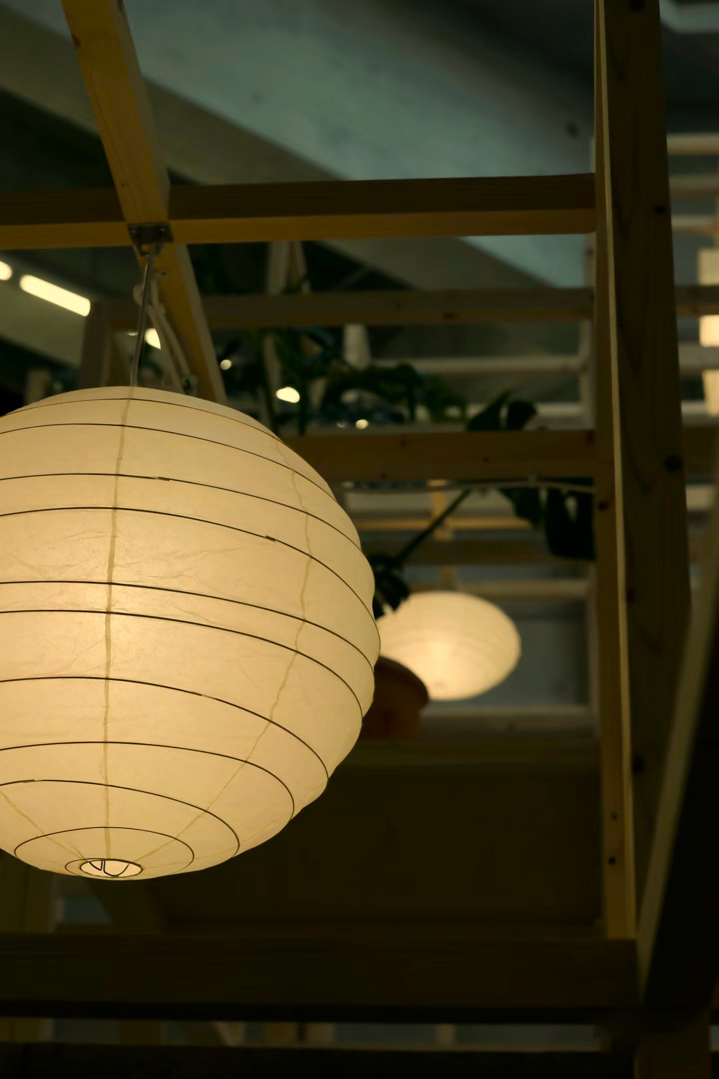 Akari D Pendant Lighting