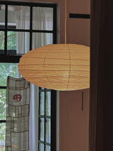 Akari EN Pendant Light