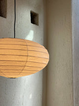 Akari EN Pendant Light