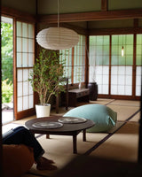Akari EN Pendant Light