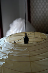 Akari EN Pendant Light