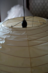 Akari EN Pendant Light