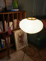 Akari 10A Floor Lamp
