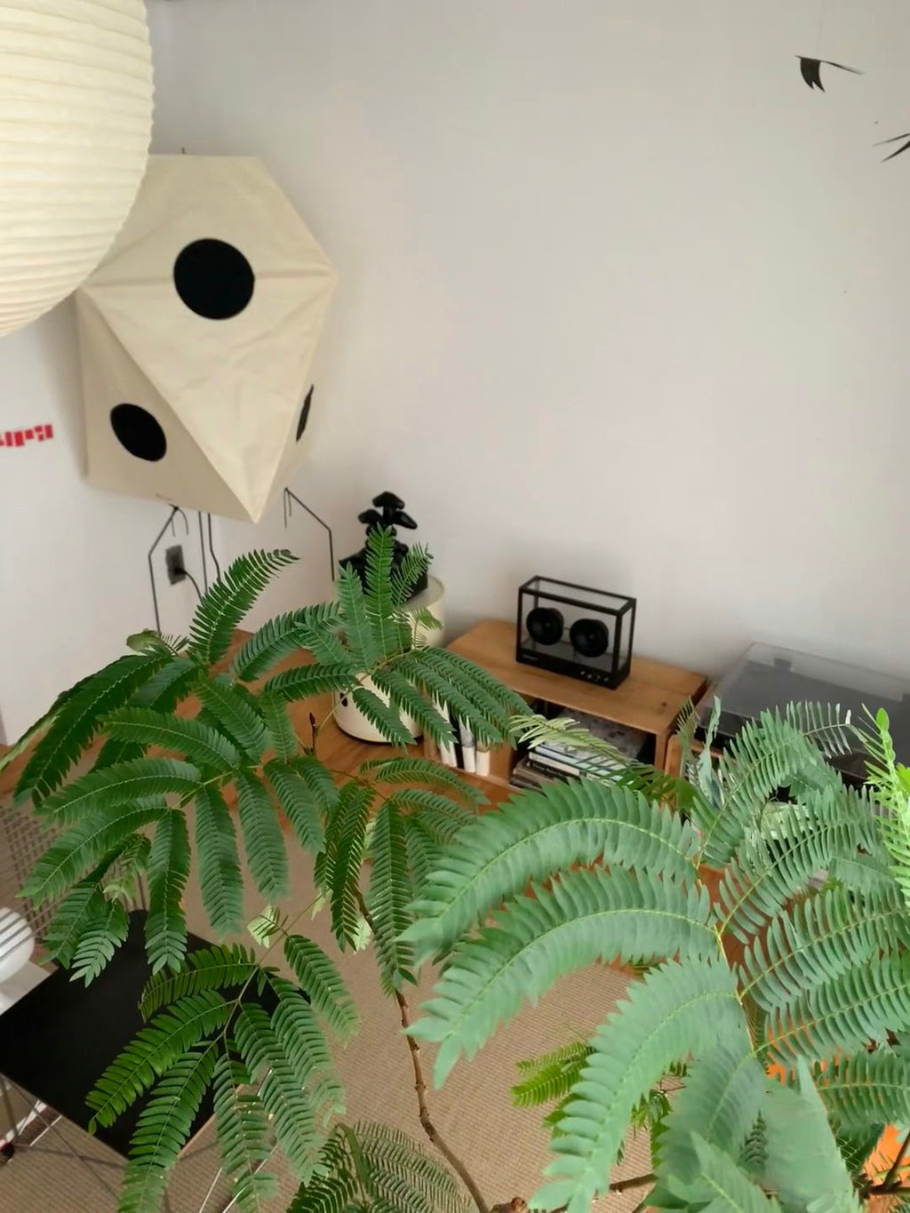Akari UF3-Q Floor Lamp