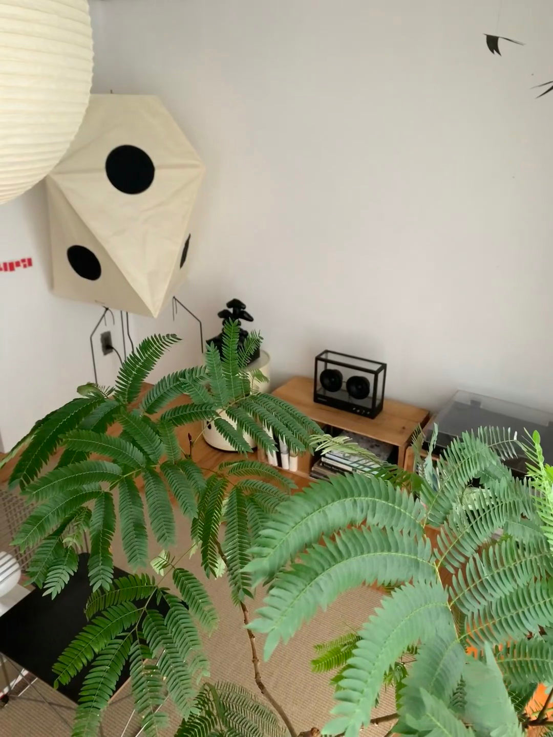 Akari UF3-Q Floor Lamp