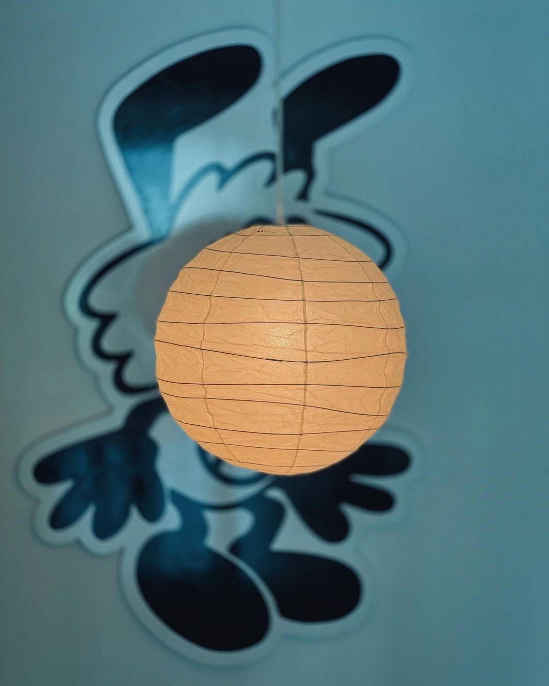 Akari D Plug-in Pendant Lighting