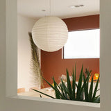 Akari D Plug-in Pendant Lighting