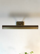 Amelia Picture Sconce