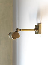 Amelia Picture Sconce