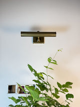 Amelia Picture Sconce