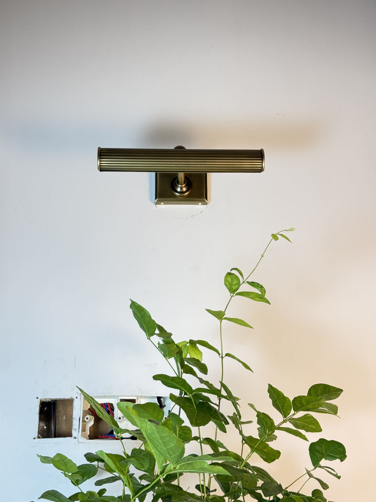Amelia Picture Sconce