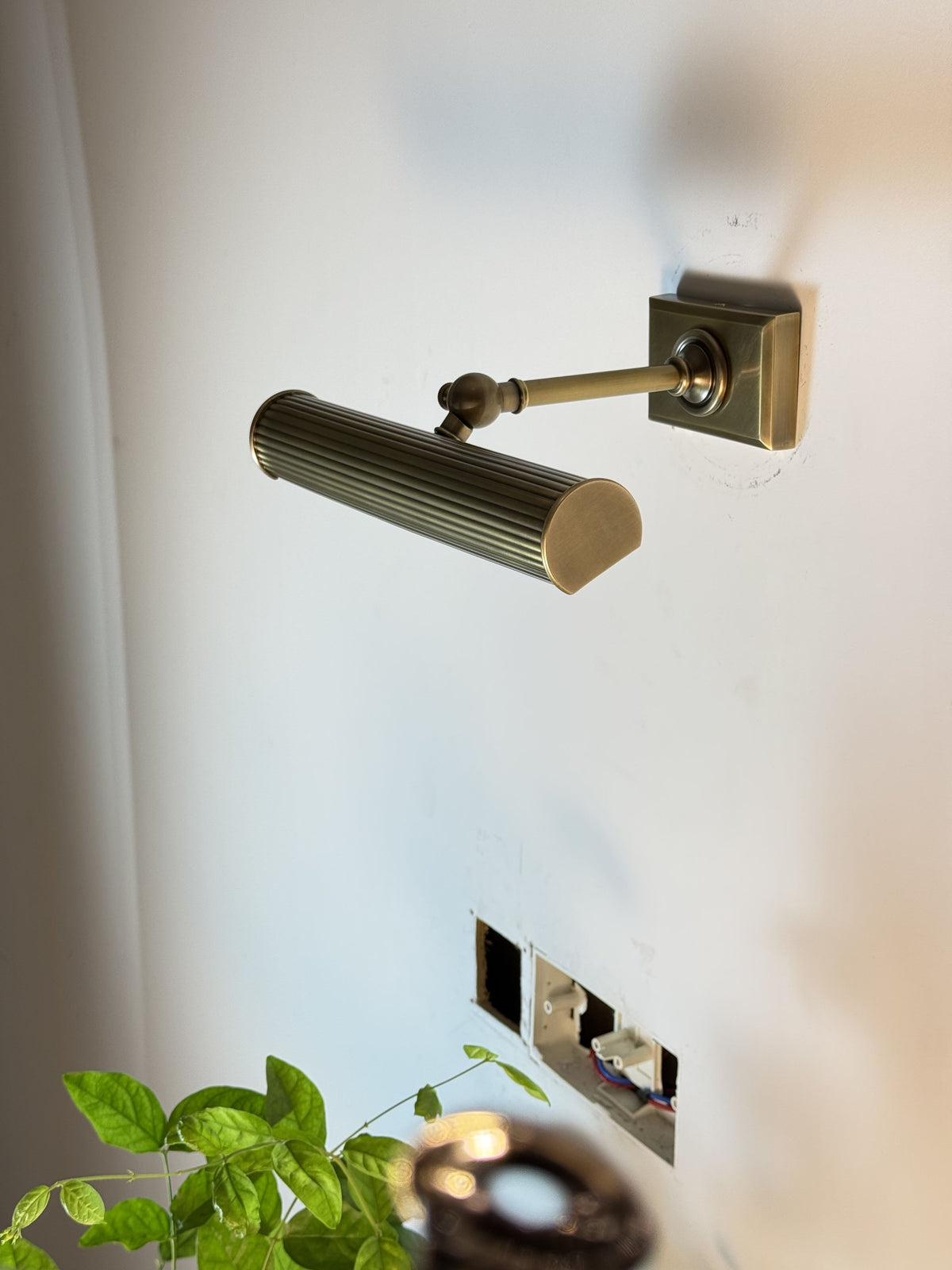 Amelia Picture Sconce