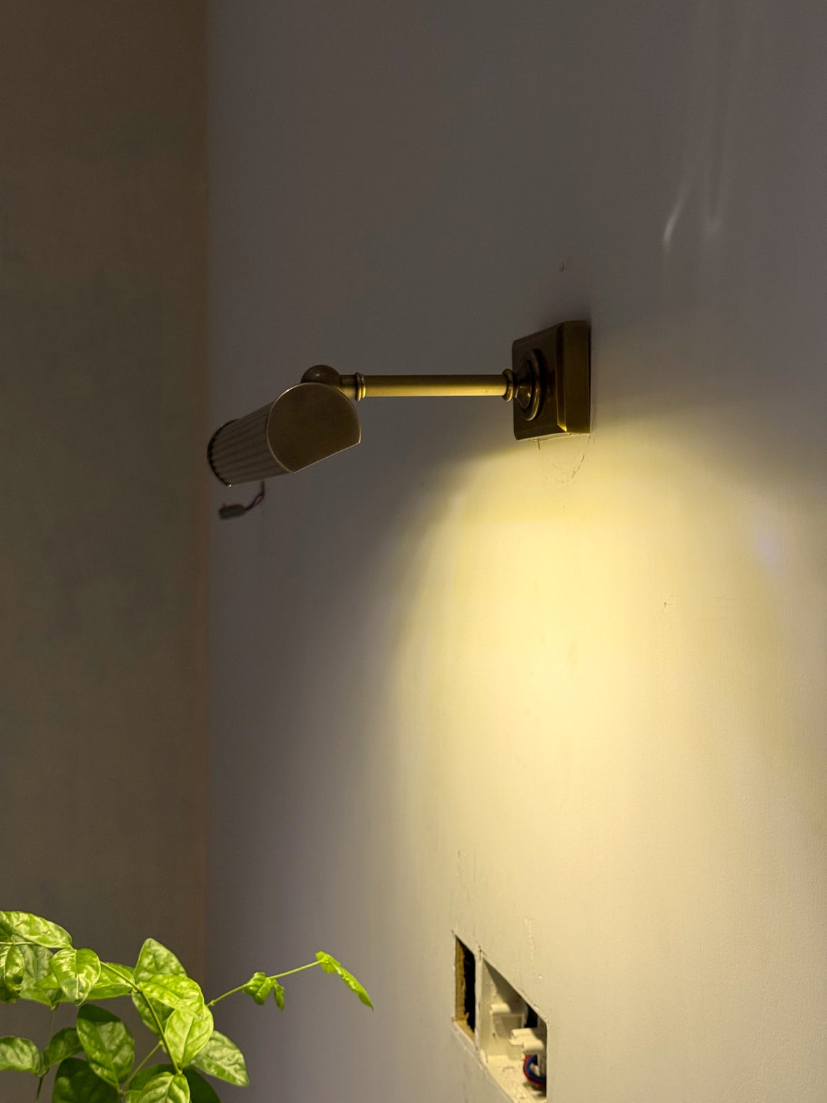Amelia Picture Sconce