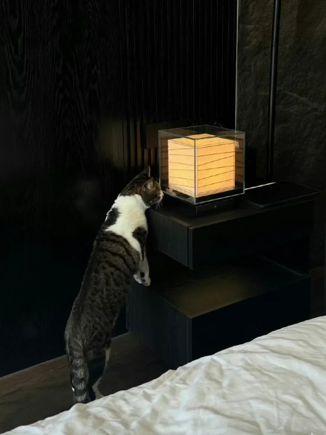 Andaz Chi Yutang Table Lamp