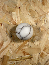Arlo Orb Alabaster Sconce