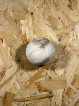 Arlo Orb Alabaster Sconce