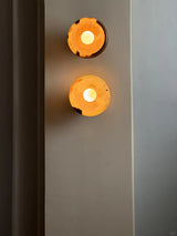 Aurora Green Onyx Sconce