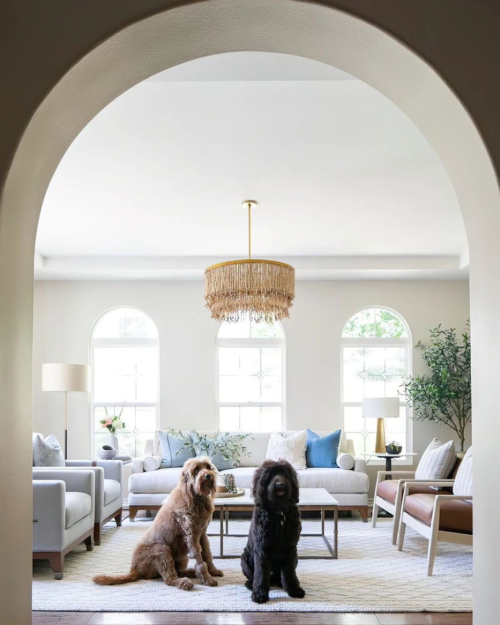 Baja Chandelier