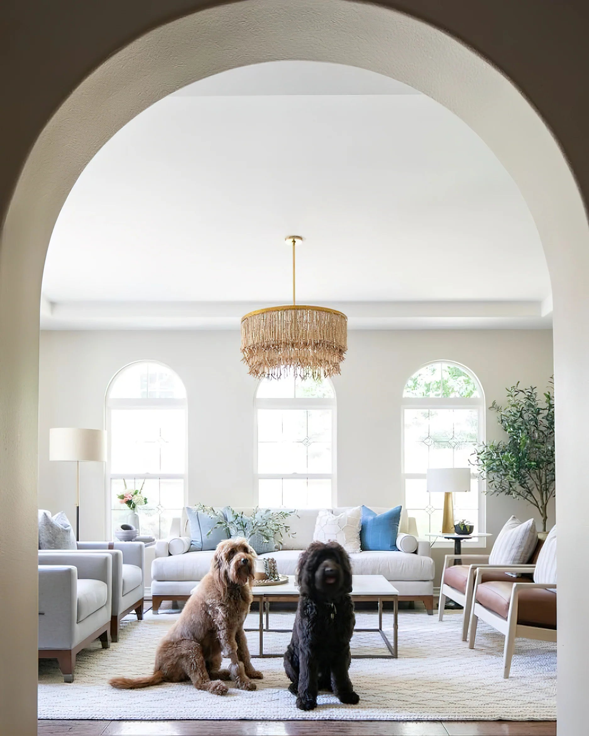 Baja Chandelier
