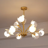 Carias B Chandeliers