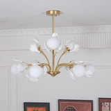 Carias B Chandeliers