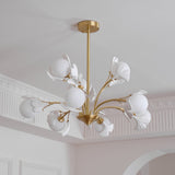 Carias B Chandeliers