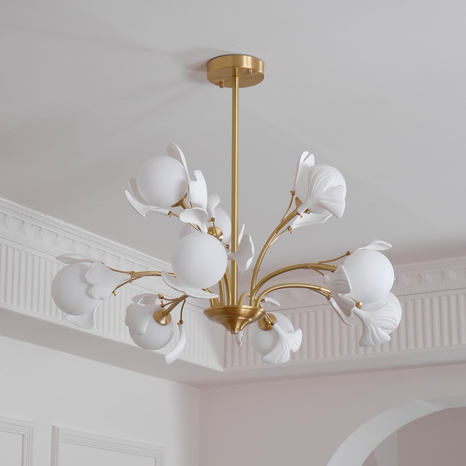 Carias B Chandeliers