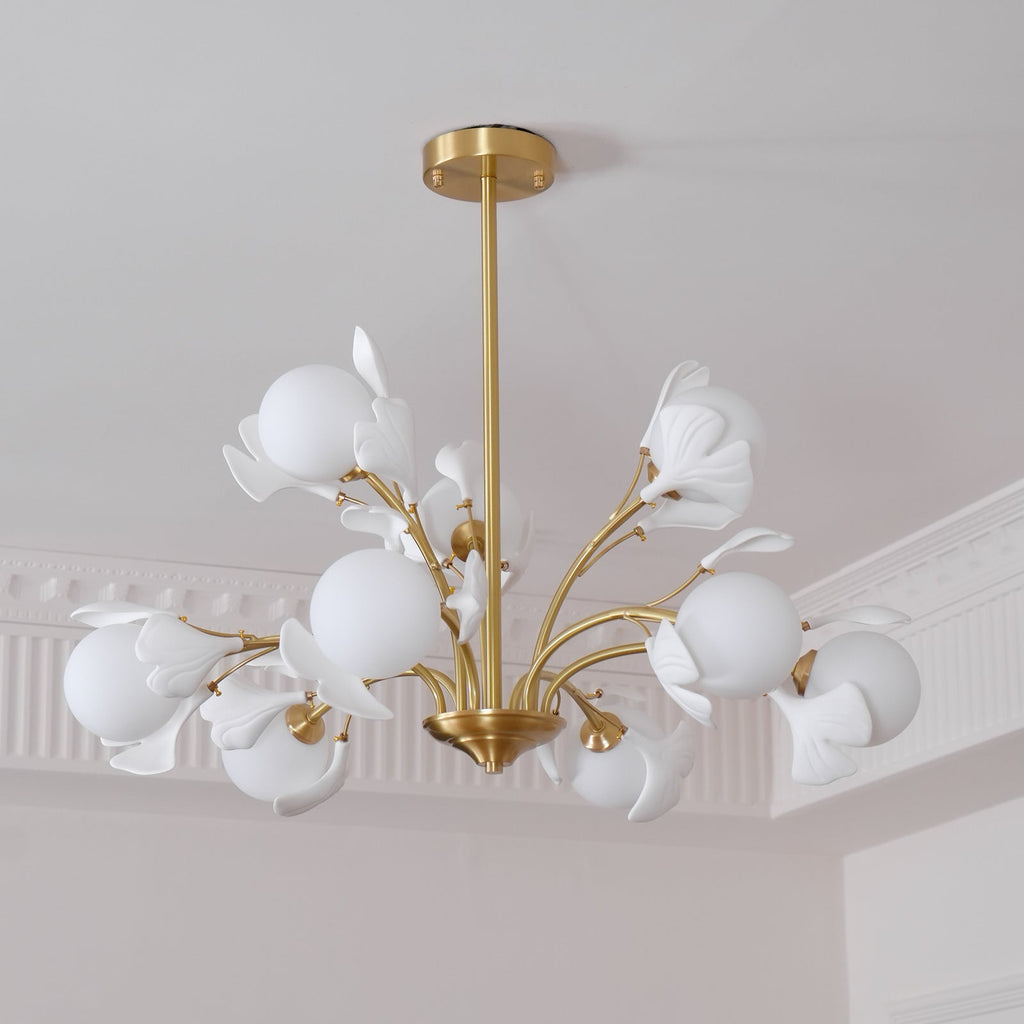 Carias B Chandeliers