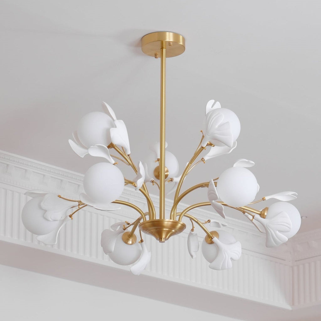 Carias B Chandeliers