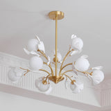 Carias B Chandeliers