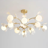 Carias B Chandeliers