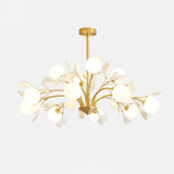 Carias B Chandeliers