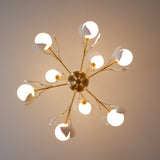 Carias B Chandeliers